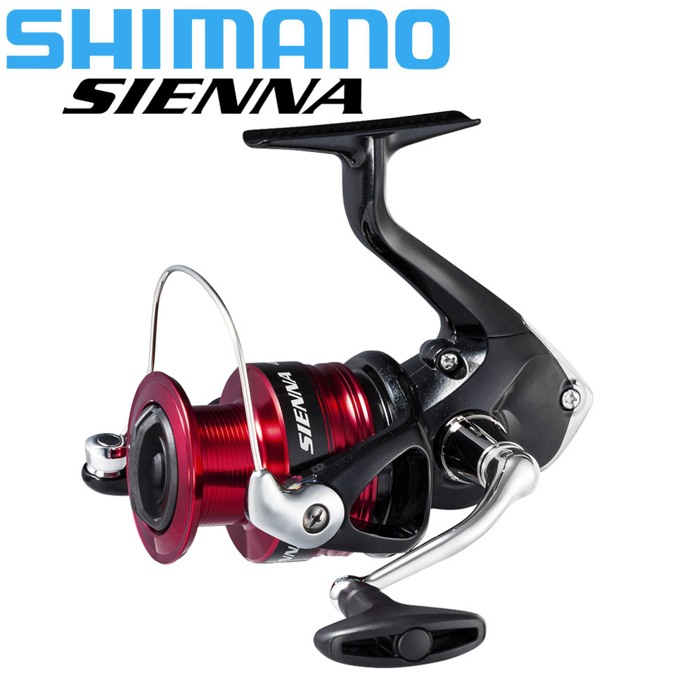 Shimano sienna molinete de pes - Penn Reel Fierce avaliação e preço